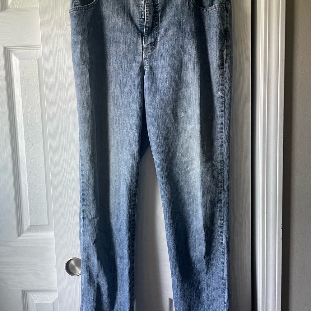 Gloria Vanderbilt Light Blue Denim